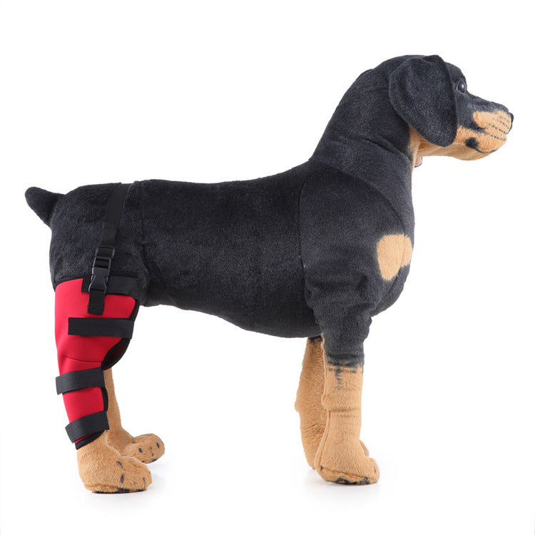 Leg rehabilitation foot support for pets